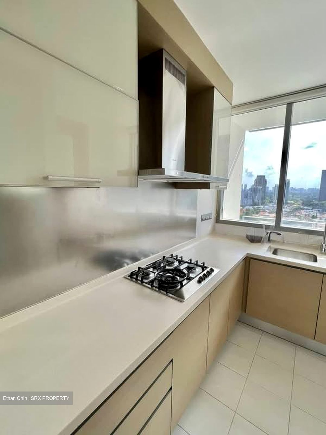 Paterson Suites (D9), Condominium #559993571
